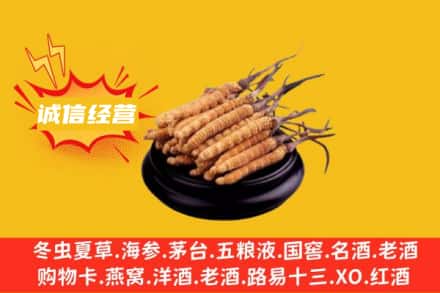 伊州区回收冬虫夏草